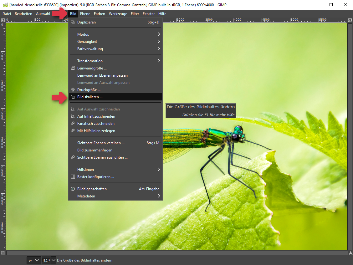 GIMP Bild verkleinern
