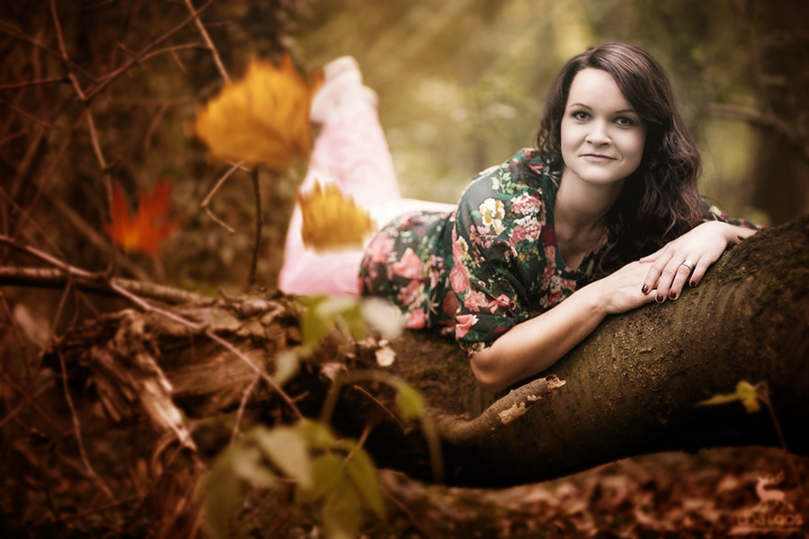 Gegenlicht und Sonnenstrahlen