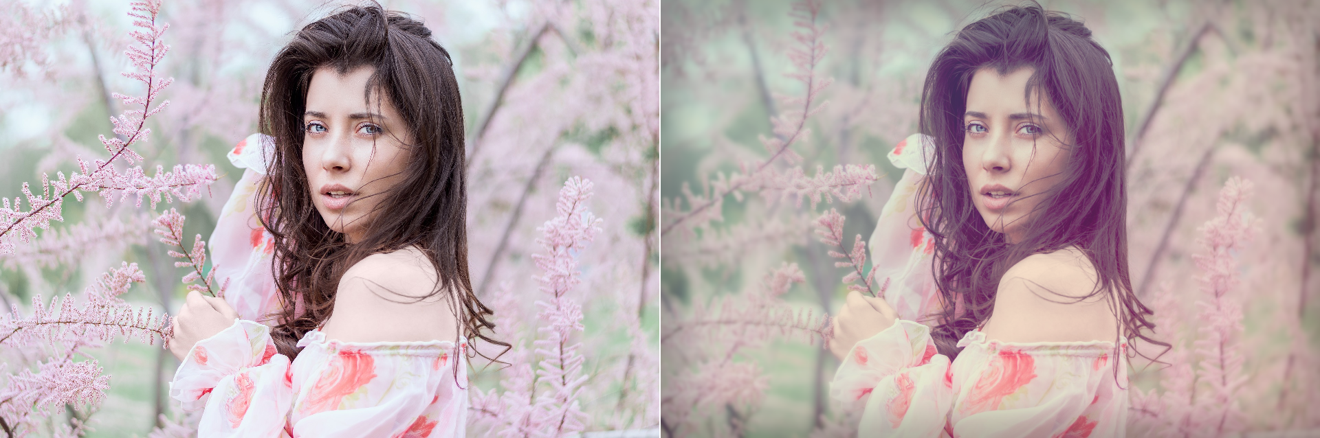 Vergleich Original und Crossprozessing mit GIMP