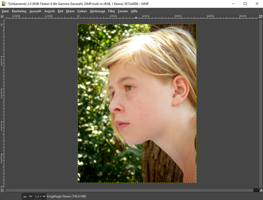 GIMP Leberflecken vollständig entfernt